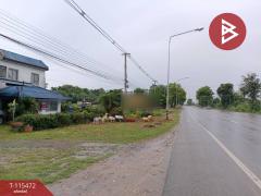 ขายที่ดินพร้อมสิ่งปลูกสร้าง เนื้อที่ 1 งาน 92.2 ตร.วา หนองปลิง นครสวรรค์-202507011340051751352005880.jpg