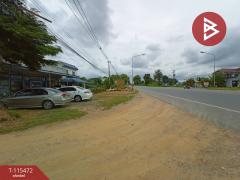ขายที่ดินพร้อมสิ่งปลูกสร้าง เนื้อที่ 1 งาน 92.2 ตร.วา หนองปลิง นครสวรรค์-202507011340071751352007026.jpg