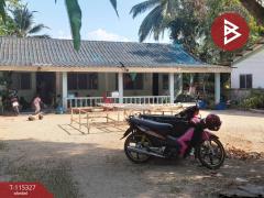 ขายที่ดินพร้อม สิ่งปลูกสร้าง  บางม่วง ตะกั่วป่า-202507011503191751356999130.jpg