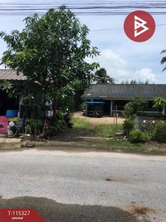 ขายที่ดินพร้อม สิ่งปลูกสร้าง  บางม่วง ตะกั่วป่า-202507011503211751357001579.jpg
