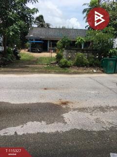 ขายที่ดินพร้อม สิ่งปลูกสร้าง  บางม่วง ตะกั่วป่า-202507011503221751357002118.jpg