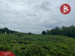 ขายที่ดิน เนื้อที่ 1 ไร่ 3 งาน 90 ตร.วา ไชยสถาน น่าน-202507011526051751358365487.jpg