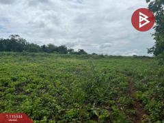 ขายที่ดิน เนื้อที่ 1 ไร่ 3 งาน 90 ตร.วา ไชยสถาน น่าน-202507011526081751358368281.jpg