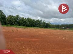 ขายที่ดิน เนื้อที่ 1 ไร่ 3 งาน 90 ตร.วา ไชยสถาน น่าน-202507011526091751358369057.jpg