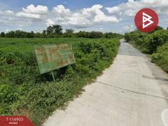 ขายที่ดิน เนื้อที่ 46 ไร่ 1 งาน 64 ตร.วา หนองหญ้าไซ สุพรรณบุรี-202507011528201751358500277.jpg