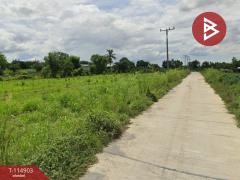 ขายที่ดิน เนื้อที่ 46 ไร่ 1 งาน 64 ตร.วา หนองหญ้าไซ สุพรรณบุรี-202507011528201751358500858.jpg