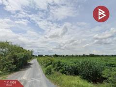ขายที่ดิน เนื้อที่ 46 ไร่ 1 งาน 64 ตร.วา หนองหญ้าไซ สุพรรณบุรี-202507011528211751358501436.jpg
