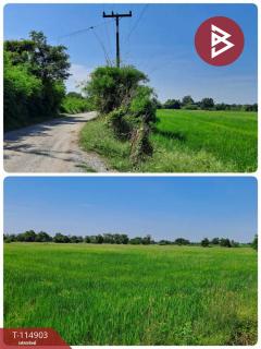 ขายที่ดิน เนื้อที่ 46 ไร่ 1 งาน 64 ตร.วา หนองหญ้าไซ สุพรรณบุรี-202507011528241751358504906.jpg