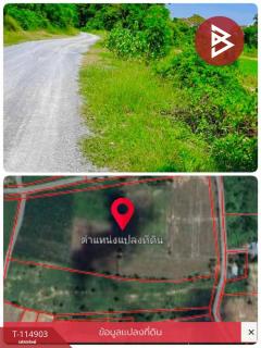 ขายที่ดิน เนื้อที่ 46 ไร่ 1 งาน 64 ตร.วา หนองหญ้าไซ สุพรรณบุรี-202507011528281751358508602.jpg