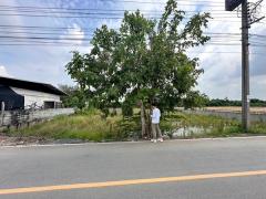 ขายที่ดิน บางบัวทอง จ.นนทบุรี เนื้อที่ 263 ตรว. พร้อมถมดินให้ ซอยวัดพูนพิมลราช โทร 088-8998965-202507011704401751364280952.jpg