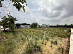 ขายที่ดิน บางบัวทอง จ.นนทบุรี เนื้อที่ 263 ตรว. พร้อมถมดินให้ ซอยวัดพูนพิมลราช โทร 088-8998965-202507011704421751364282106.jpg