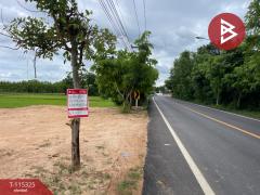 ขายที่ดิน เนื้อที่ 4 ไร่ 2 งาน 8 ตร.วา ชุมแพ ขอนแก่น-202507011707481751364468894.jpg