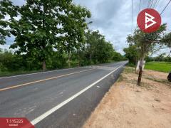 ขายที่ดิน เนื้อที่ 4 ไร่ 2 งาน 8 ตร.วา ชุมแพ ขอนแก่น-202507011707491751364469486.jpg