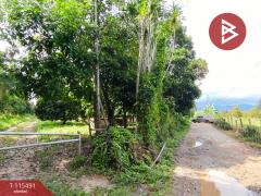 ขายที่ดิน เนื้อที่ 11 ไร่ 1 งาน 51 ตร.วา ท่าใหม่ จันทบุรี-202507011712161751364736818.jpg