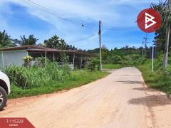ขายที่ดิน เนื้อที่ 58.2 ตร.วา หนองทะเล กระบี่-202507011733001751365980466.jpg