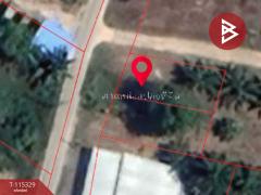 ขายที่ดิน เนื้อที่ 58.2 ตร.วา หนองทะเล กระบี่-202507011733011751365981208.jpg