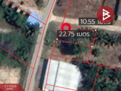 ขายที่ดิน เนื้อที่ 58.2 ตร.วา หนองทะเล กระบี่-202507011733011751365981894.jpg
