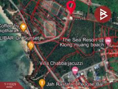 ขายที่ดิน เนื้อที่ 58.2 ตร.วา หนองทะเล กระบี่-202507011733021751365982489.jpg