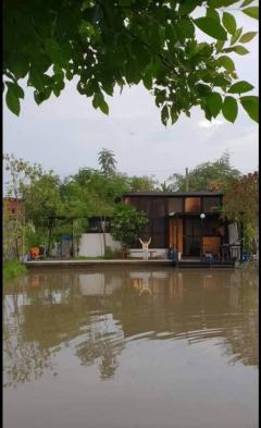 ขายบ้านเดี่ยวพื้นที่ 2 งาน 34 ตร.ว. 7,920,000 บาท ราคาคุ้มสุดๆ ต.ลานตากฟ้า อ.นครชัยศรี จ.นครปฐม เจ้าของบ้านขายเอง -202507012056331751378193785.jpg