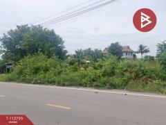 ขายที่ดิน เนื้อที่ 1 ไร่ สองพี่น้อง สุพรรณบุรี-202507012220221751383222323.jpg