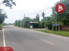 ขายที่ดิน เนื้อที่ 1 ไร่ สองพี่น้อง สุพรรณบุรี-202507012220231751383223992.jpg
