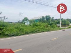 ขายที่ดิน เนื้อที่ 1 ไร่ สองพี่น้อง สุพรรณบุรี-202507012220251751383225099.jpg