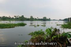 ขายที่ดินติดแม่น้ำท่าจีน อ.สามพราน จ.นครปฐม อยู่ใกล้สวนสามพราน -202507020844211751420661342.jpg