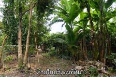 ขายที่ดินติดแม่น้ำท่าจีน อ.สามพราน จ.นครปฐม อยู่ใกล้สวนสามพราน -202507020844251751420665623.jpg