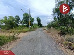 ขายที่ดิน เนื้อที่ 3 งาน คลองหลวง ปทุมธานี-202507020914061751422446353.jpg