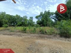 ขายที่ดิน เนื้อที่ 3 งาน คลองหลวง ปทุมธานี-202507020914061751422446942.jpg