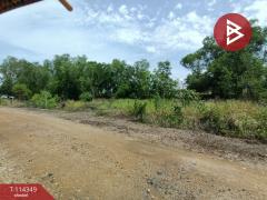 ขายที่ดิน เนื้อที่ 3 งาน คลองหลวง ปทุมธานี-202507020914101751422450849.jpg