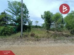 ขายที่ดิน เนื้อที่ 3 งาน คลองหลวง ปทุมธานี-202507020914111751422451410.jpg