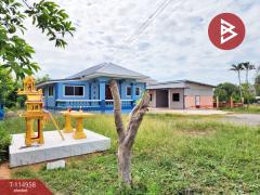 ขายบ้านเดี่ยวชั้นเดียว เนื้อที่ 1 ไร่ 28.1 ตร.วา พระนอน นครสวรรค์-202507020924051751423045474.jpg