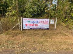 ขายที่ดินสวนยางพารา 37-2-80 ไร่ (รวม 5 แปลง) ต.นาพู่   อ.เพ็ญ   จ.อุดรธานี  
