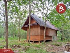 ขายที่ดิน เนื้อที่ 15 ไร่ 2 งาน 27 ตร.วา ปัว น่าน-202507020940101751424010443.jpg