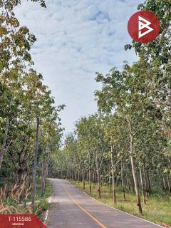 ขายที่ดิน เนื้อที่ 15 ไร่ 2 งาน 27 ตร.วา ปัว น่าน-202507020940121751424012852.jpg
