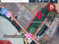 ขายที่ดินถมเเล้ว เนื้อที่ 16 ไร่ 1 งาน 55 ตารางวา อ.เดิมบางนางบวช สุพรรณบุรี-202507020943191751424199157.jpg