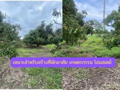ขายที่ดิน 2 ไร่ 109 ตรว. ริมถนนเลี่ยงเมืองสันป่าตอง-หางดง-202507021106051751429165774.jpg