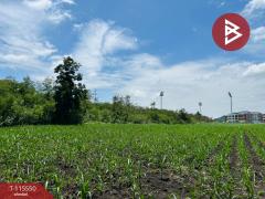 ขายที่ดิน เนื้อที่ 17 ไร่ 3 งาน 31.9 ตร.วา นิคมสร้างตนเอง ลพบุรี