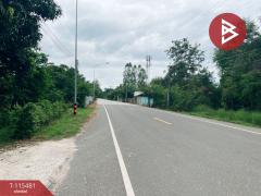 ขายบ้านเดี่ยวพร้อมที่ดิน เนื้อที่ 3 ไร่ 31.6 ตร.วา ดงขวาง อุทัยธานี-202507021507441751443664240.jpg