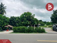ขายบ้านเดี่ยวพร้อมที่ดิน เนื้อที่ 3 ไร่ 31.6 ตร.วา ดงขวาง อุทัยธานี-202507021507441751443664829.jpg