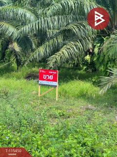 ขายที่ดินพร้อมสวนปาล์ม เนื้อที่ 12 ไร่ 3 งาน 82 ตร.วา เชียรใหญ่ นครศรีธรรมราช