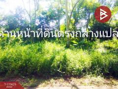 ขายที่ดิน เนื้อที่ 1 งาน 61 ตร.วา บ้านนา นครนายก-202507021632541751448774750.jpg