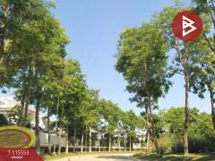 ขายคอนโด นอร์ท4 เชียงใหม่ (North4 Chiang Mai) เชียงใหม่-202507021718051751451485921.jpg