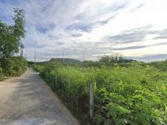 ขาย ที่ดิน ติดทางหลวงเทศบาล 30 ไร่ 93.7 ตรว หน้ากว้าง เหมาะทำจัดสรร-202507022259331751471973209.jpg