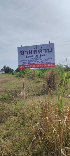 ขายที่ดิน(ถมแล้ว)ติดถนน  อ. หลังสวน จ.ชุมพร  เนื้อที่  4ไร่  3 งาน 92.80ตรว.