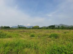 ขาย ที่ดิน เขาใหญ่ ต.​หนองน้ำแดง​ อ.ปากช่อง 6 ไร่ ใกล้ถนนธนะรัชต์แค่ 1.6 กม.-202507031006251751511985145.jpg