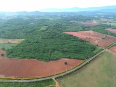 ขาย ที่ดิน เขาใหญ่ ต.​โป่งตาลอง​ อ.ปากช่อง 51 ไร่ ​ที่เป็นเนิน เห็นวิว360องศา​-202507031020201751512820487.jpg