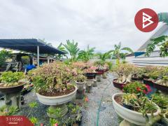 ขายที่ดิน เนื้อที่ 1 งาน บางปะกง ฉะเชิงเทรา-202507031114431751516083960.jpg