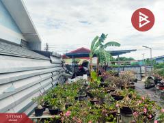 ขายที่ดิน เนื้อที่ 1 งาน บางปะกง ฉะเชิงเทรา-202507031114451751516085660.jpg